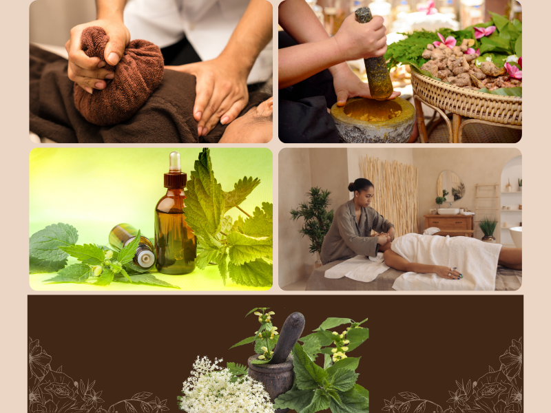 Ayurveda: The Ancient Science of Life That India is Forgetting